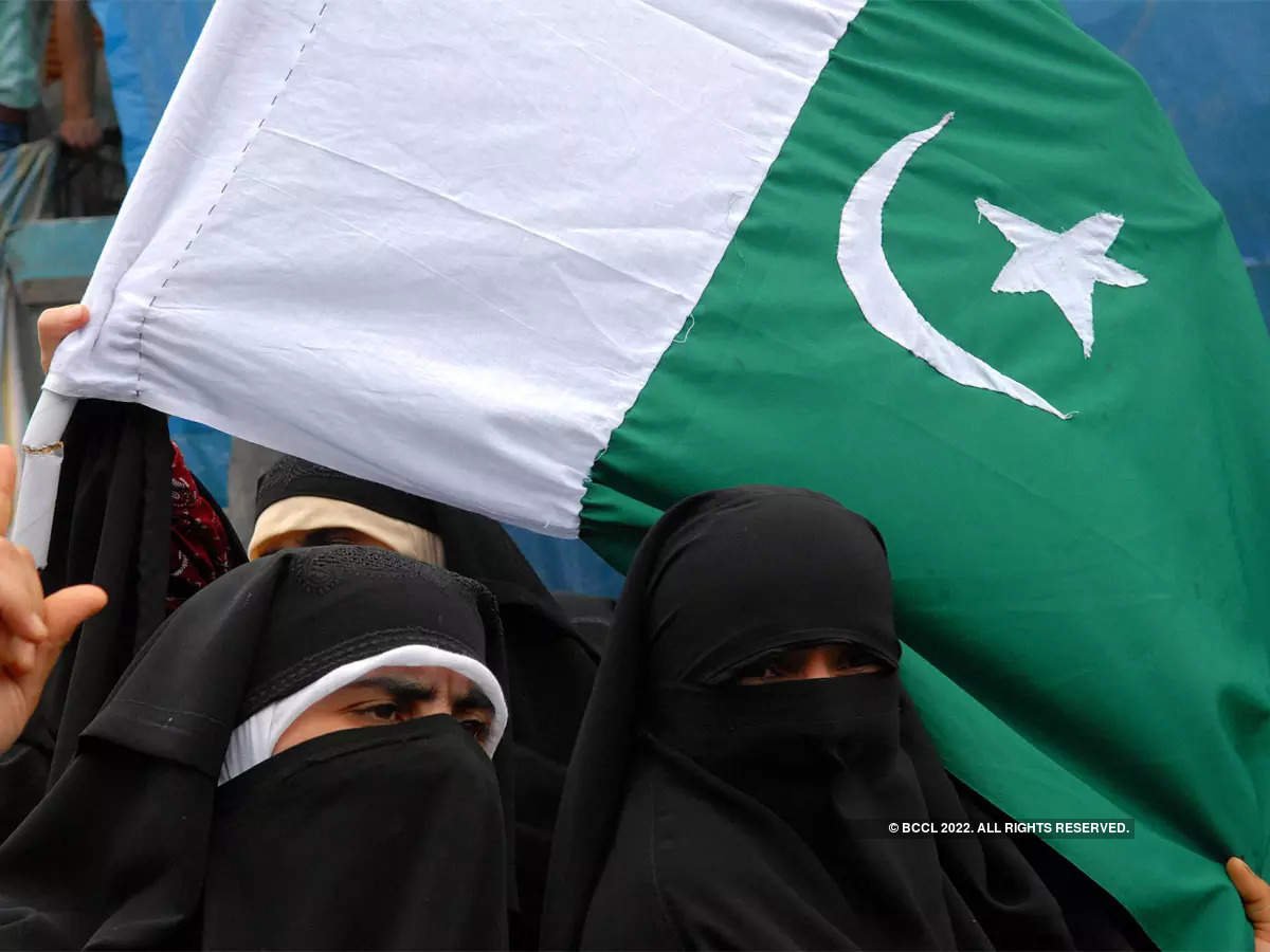 Image source: The Economic Times
https://economictimes.indiatimes.com/news/defence/pakistans-active-role-in-promoting-radicalisation-impacts-regional-stability/articleshow/88241766.cms?from=mdr