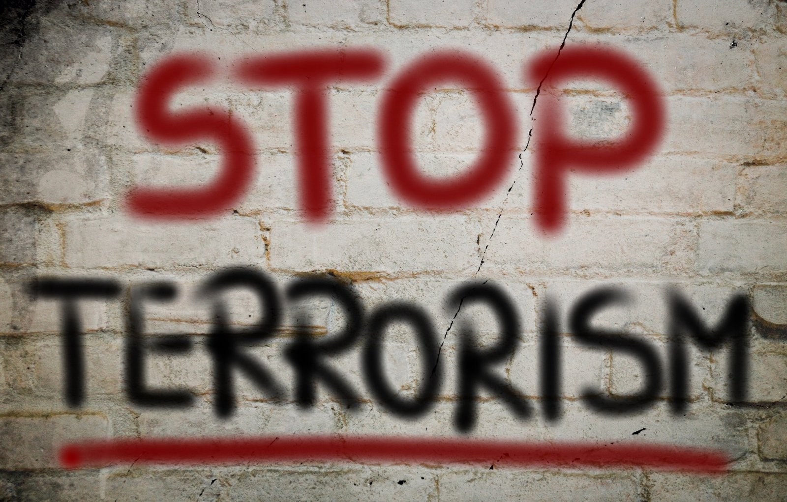 No Terror Concept
